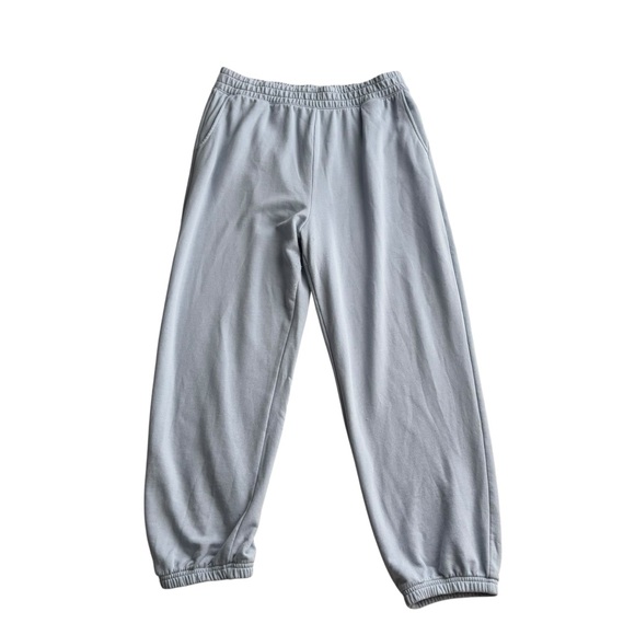 American Eagle Outfitters light blue Track Pants with Elastic Waistband size L - Picture 2 of 6